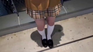 WWW日本XX就喜欢后入内射