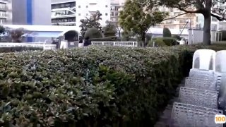 国产ts人妖一区二区三区